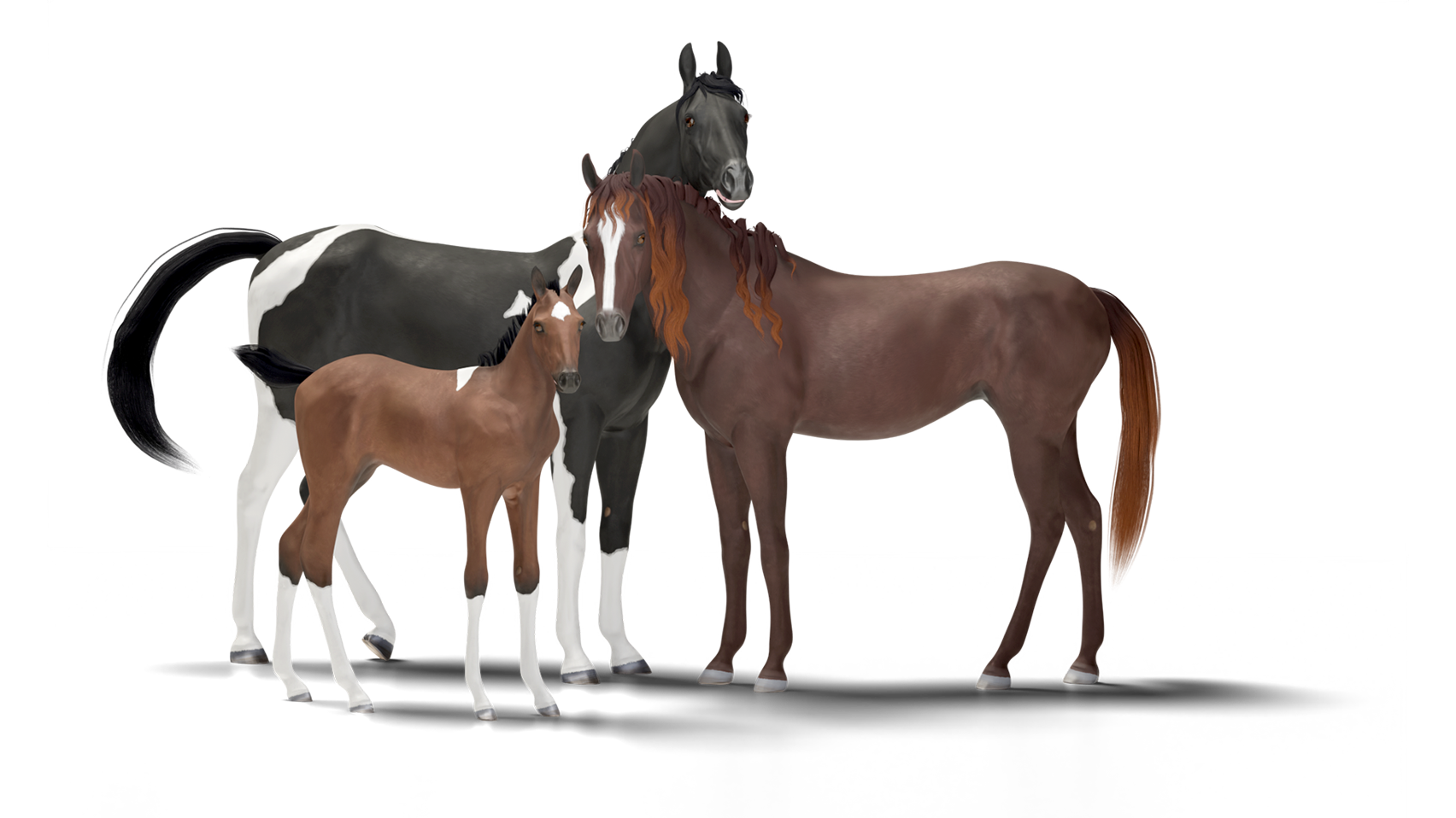 Unique horses